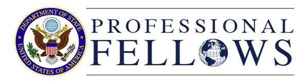 Professional Fellows Program on Inclusive Civic Engagement Logo